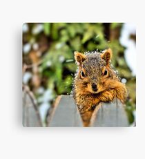 Posing for Peanuts Canvas Print