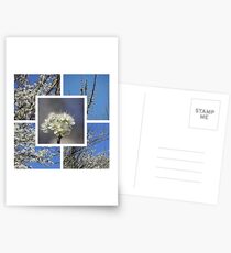 Springtime in Alabama Postcards