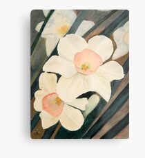 Narcissus Flowers in the Early Garden Metal Print