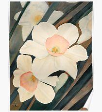 Narcissus Flowers in the Early Garden Poster