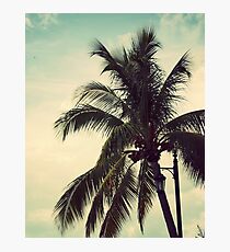 Palms Photographic Print
