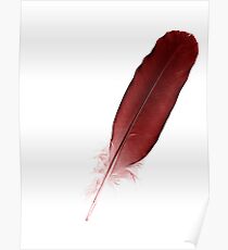 A feather is a feather Poster
