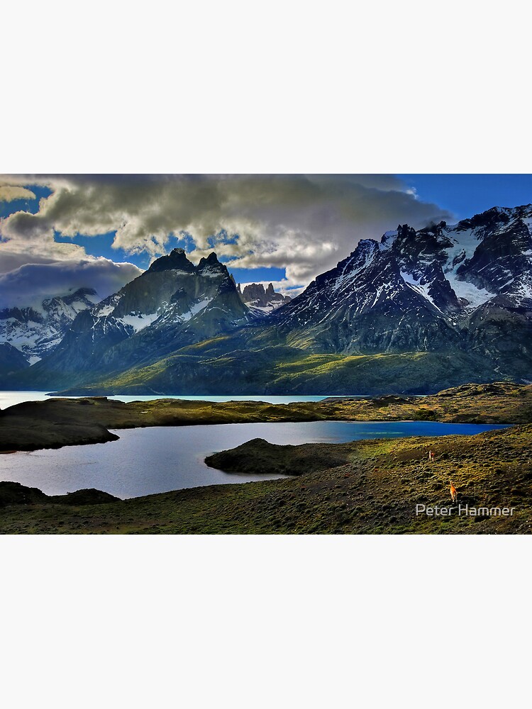 Guanacos and the Massif by PeterH