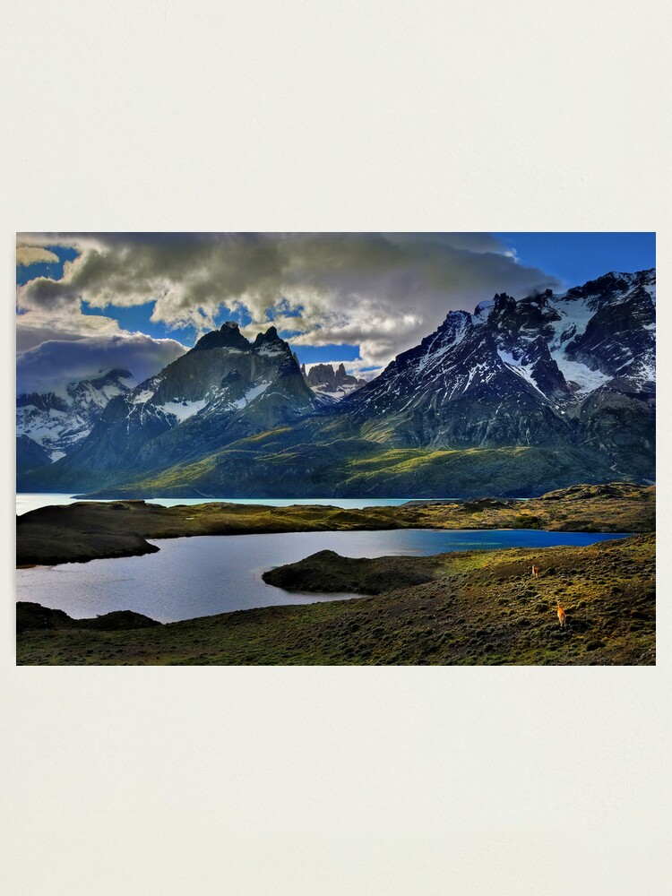 Alternate view of Guanacos and the Massif Photographic Print