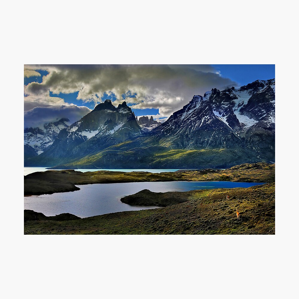Guanacos and the Massif Photographic Print
