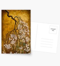 Blooming sakura Postcards