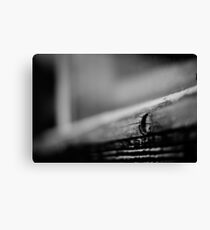 Old window Canvas Print