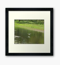 Plunger Framed Print