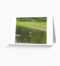 Plunger Greeting Card