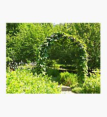 A Natural Garden Arch Photographic Print