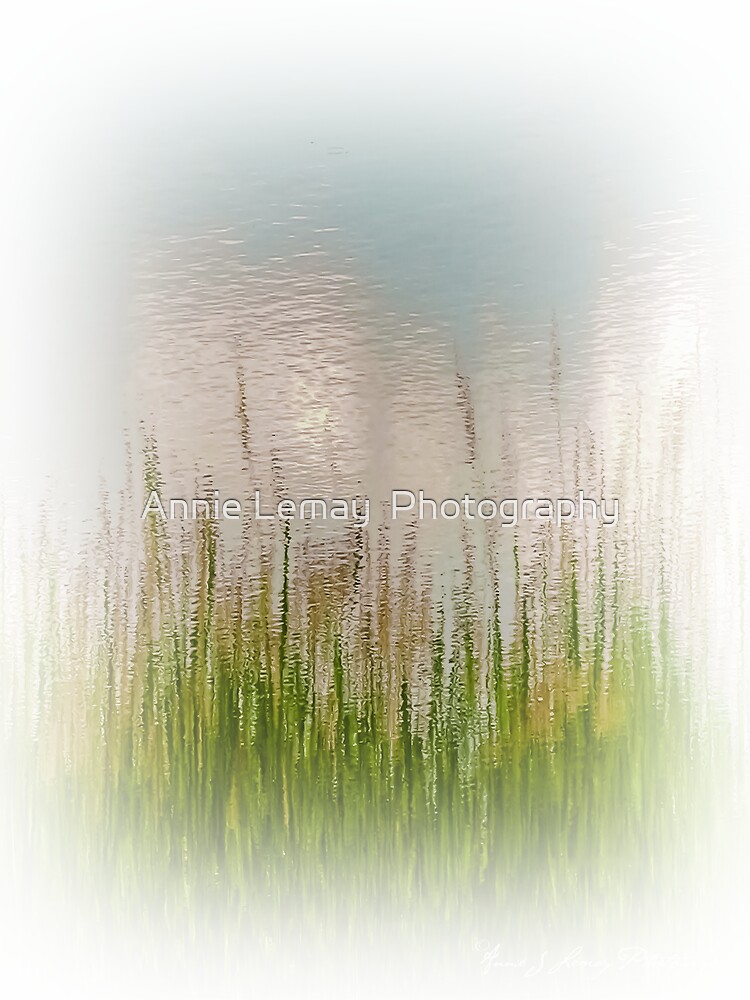 Spring Reflections by ajlphotography