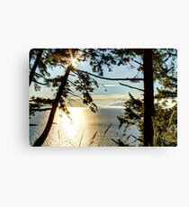 Shining on Golden Bay Canvas Print