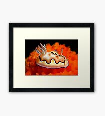 My Small World Framed Print