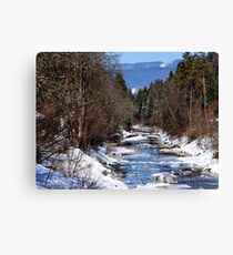 germany, winter brook Canvas Print