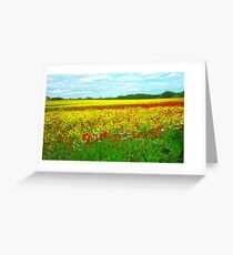 Rapeseed. Greeting Card