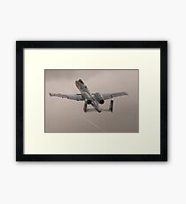 Warthog on the Rise Framed Print