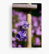 Lean on me Canvas Print
