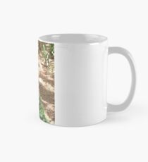 Peacock Beauty Classic Mug