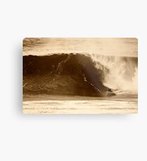 David Parkes Metal Print