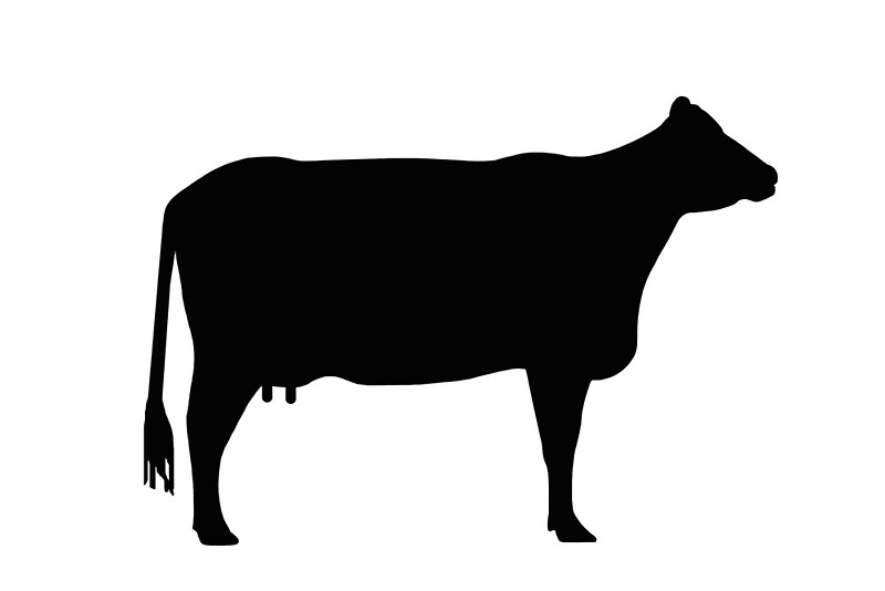 "Cow silhouette as sign or clipart" by naturaldigital | Redbubble