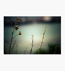 Sea Landscape Photographic Print