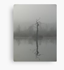 The Bird Tree Canvas Print
