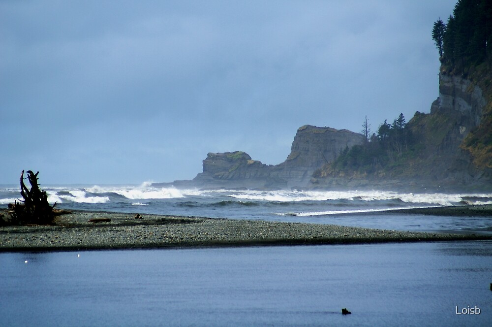 "Taholah, Washington Beach" by Loisb Redbubble
