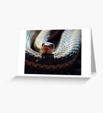 Snake Tongue Greeting Card