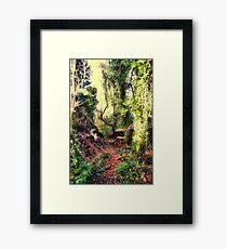 hp Framed Print