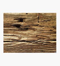 hewn log Photographic Print