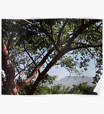 Sierra Madre Poster