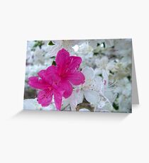 Misfit Greeting Card