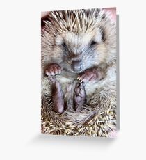 Kini de Nao Greeting Card