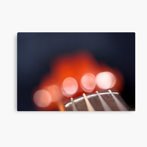 Sylvio's Viola Canvas Print