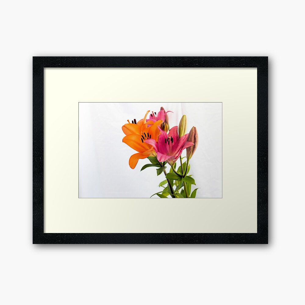 "Lily Decor" Framed Print by cazzazsnapz Redbubble