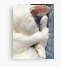 Snuggling Metal Print