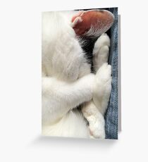 Snuggling Greeting Card