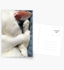 Snuggling Postcards