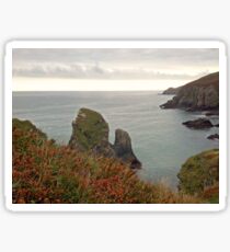 Nohoval Cove Sticker
