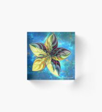 FLORAL INCENDIA Acrylic Block