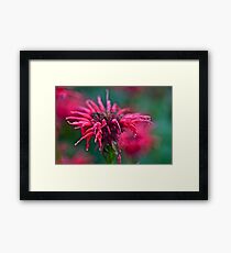 Dance in the rain . by Doktor Faustus . Views - 244. Framed Print