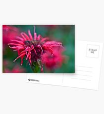 Dance in the rain . by Doktor Faustus . Views - 244. Postcards