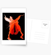 Night Shade Postcards