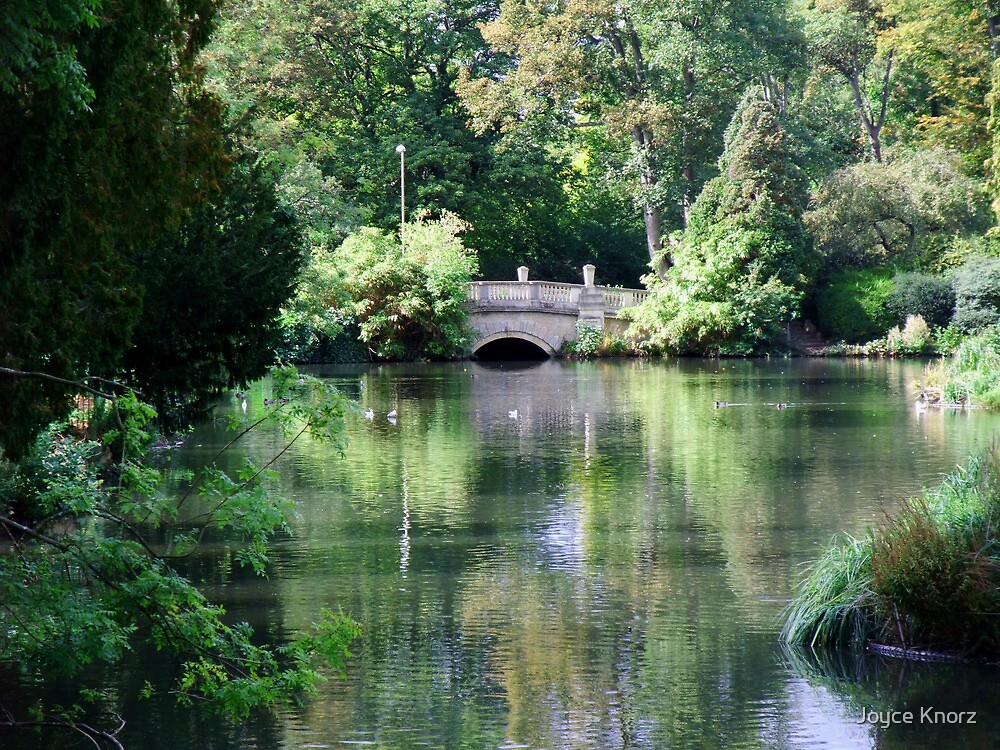 " Cheltenham parks and gardens" by Joyce Knorz Redbubble