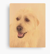 Parker ~ Canvas Print