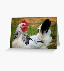 Miss Henny-Penny Greeting Card