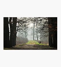 The sunshine bench is waiting for spring Photographic Print