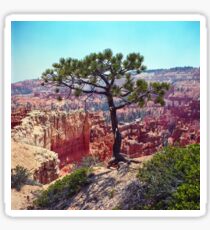 Canyon View Sticker
