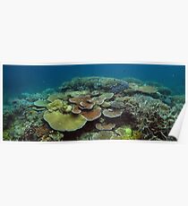 Mac's Reef I Poster