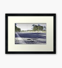 Road Kill Framed Print